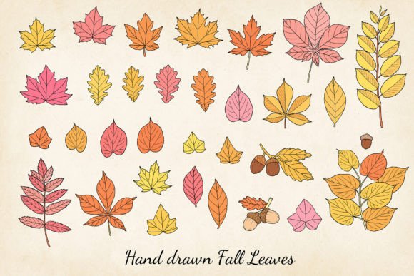 Download Hand-drawn Autumn Leaves SVG Bundle - Svg bundle Collection